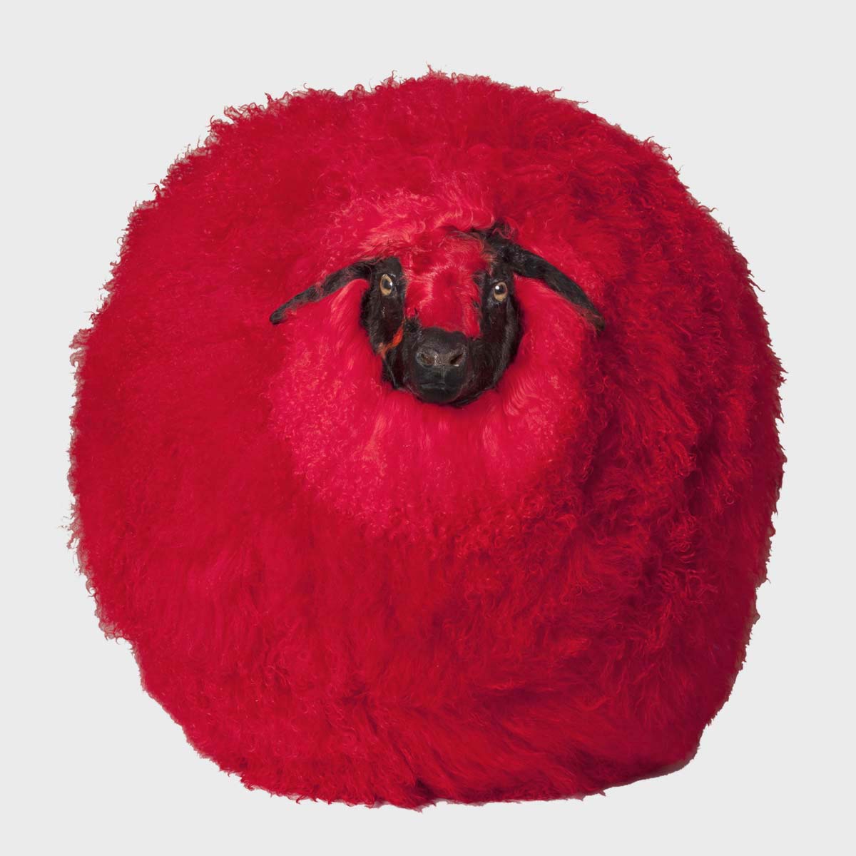 Inflatable Red Dyed Sheep - Fun Party Decoration for Halloween, Christmas & Birthday Celebrations