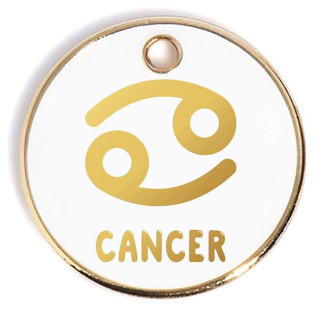 Personalized Pet ID Tag for Dogs & Cats - Engraved Stainless Steel with Phone Number - Perfect for Lost Pet Prevention & Safety