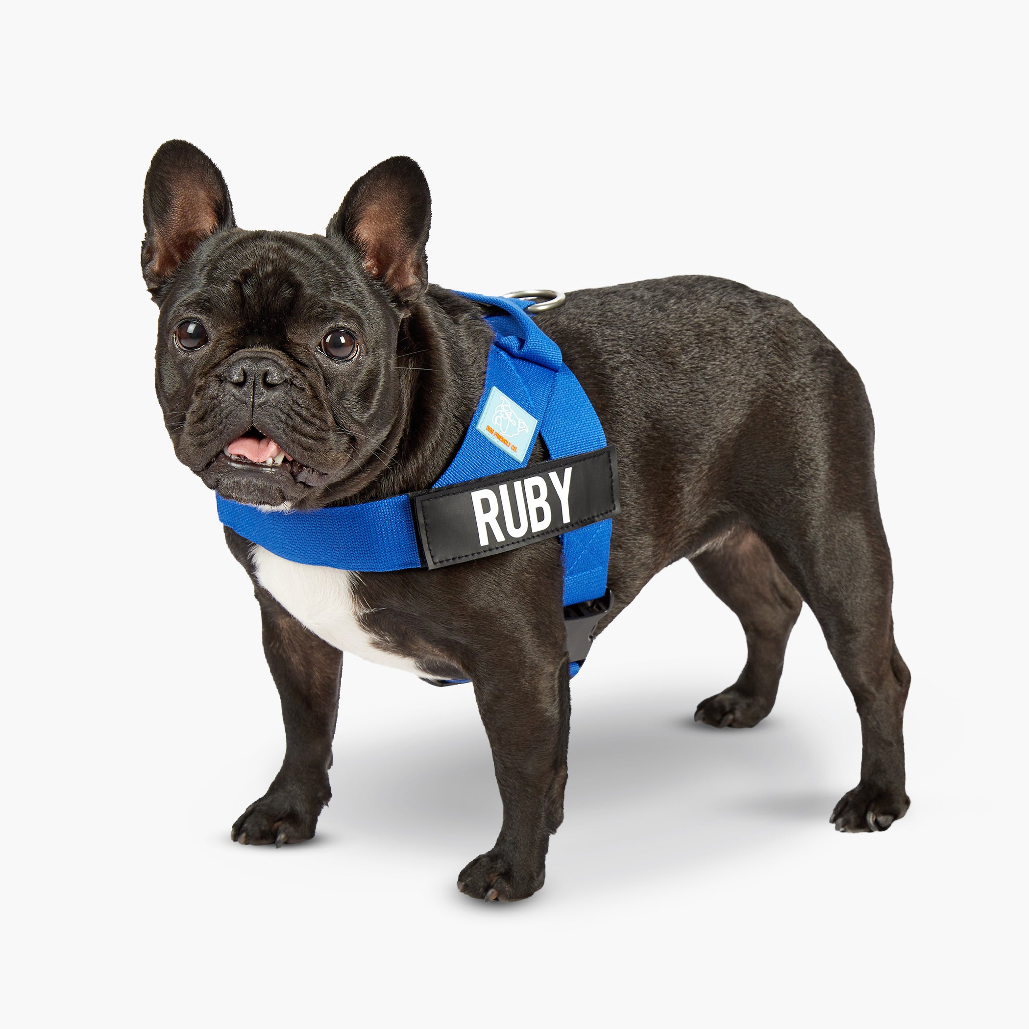 Dog Friendly Co. Classic Blue Dog Harness - Adjustable & Reflective for Small to Large Dogs - Perfect for Walking, Hiking & Outdoor Adventures
