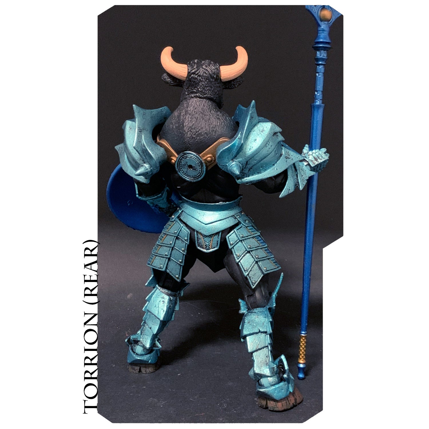 Mythic Legions: Circle of Poxxus Torrion (All Stars) Action Figure – Collectible Fantasy Warrior for Display & Role-Playing Games