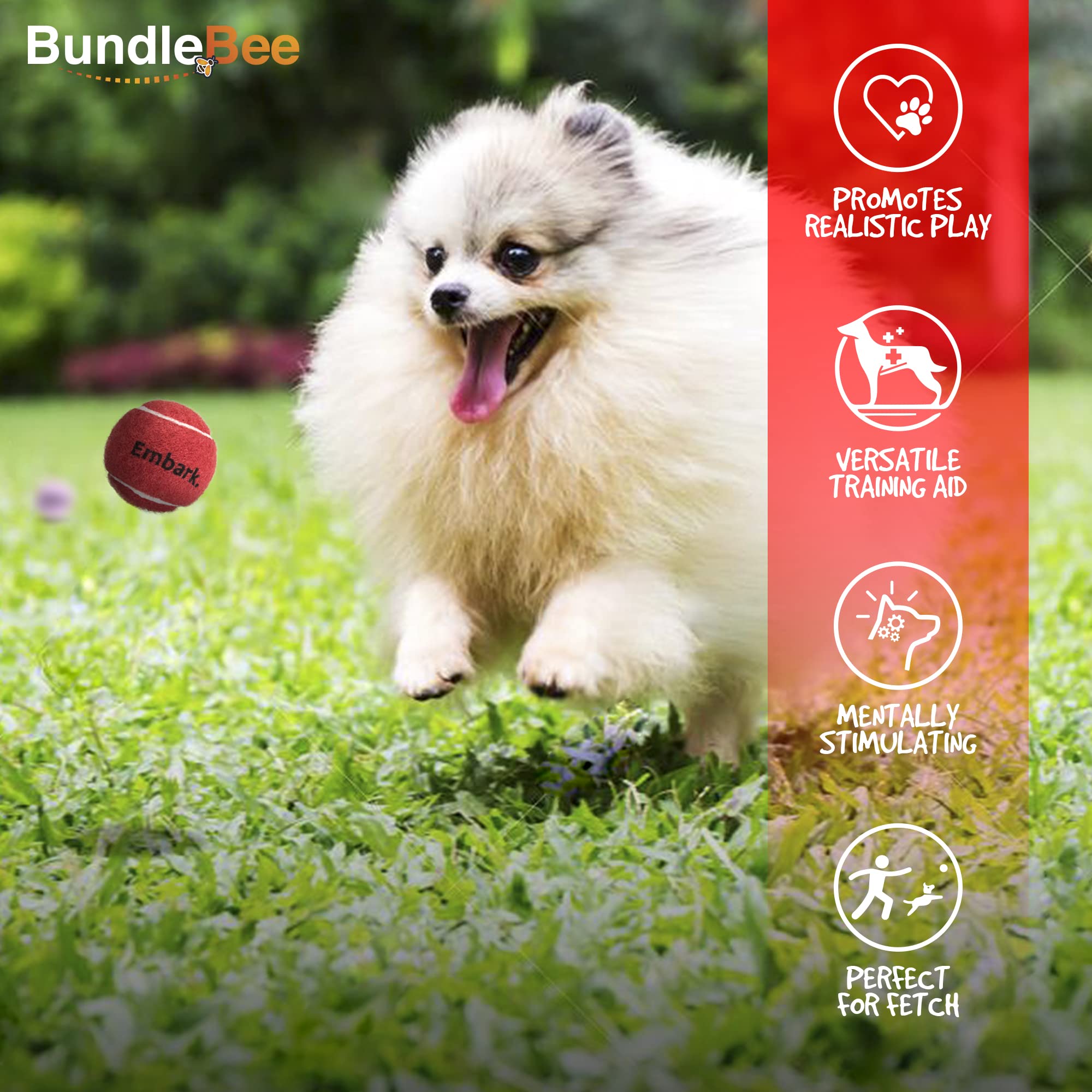 Colorful Squeaky Tennis Balls for Small Dogs - 12 Pack - Perfect for Outdoor Fetch & Training