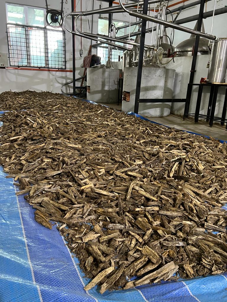 12ml Pure 100% Cambodian Thai Agarwood Oudh Oil - Rare Aged Batch, Genuine Prachinburi with Applicator | Premium Quality for Aromatherapy, Meditation & Spiritual Rituals