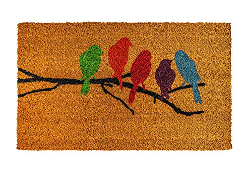 Colorful Birds