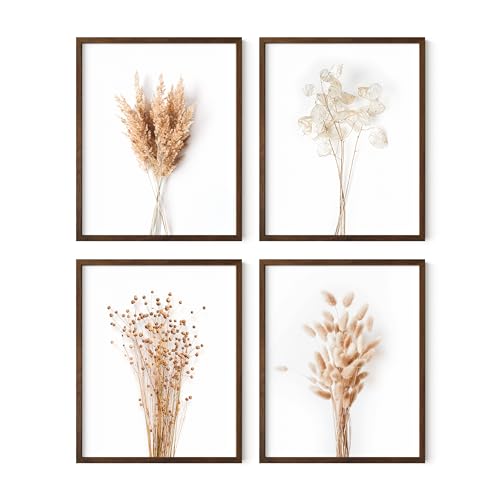 Brown Plant