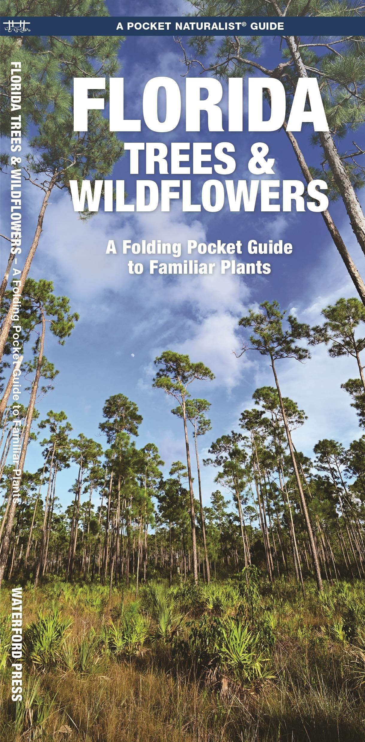 Florida Trees & Wildflowers Identification Guide - Folding Pocket Field Guide for Nature Lovers | Perfect for Hiking, Camping & Outdoor Exploration in North America