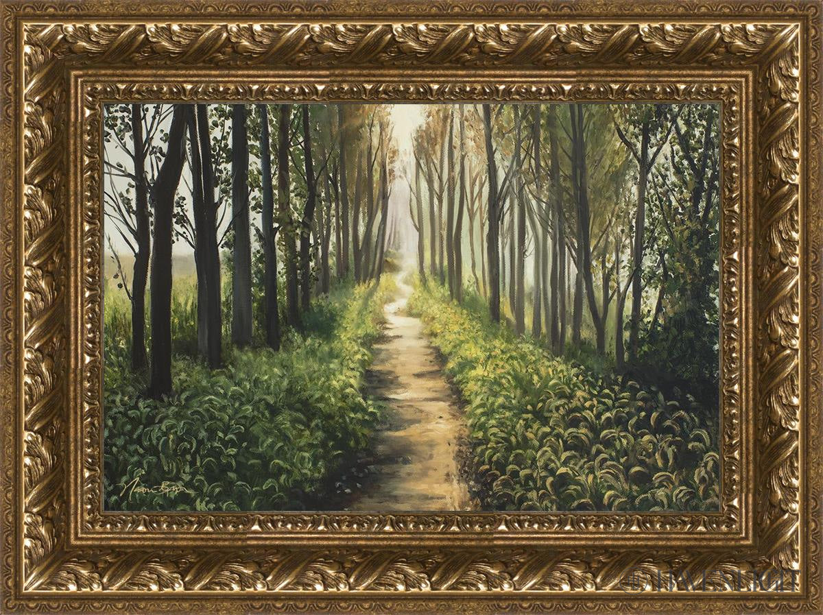 Forest Walkway - Beautiful Wooden Pathway for Gardens, Parks & Trails | Perfect for Outdoor Decor & Nature Walks