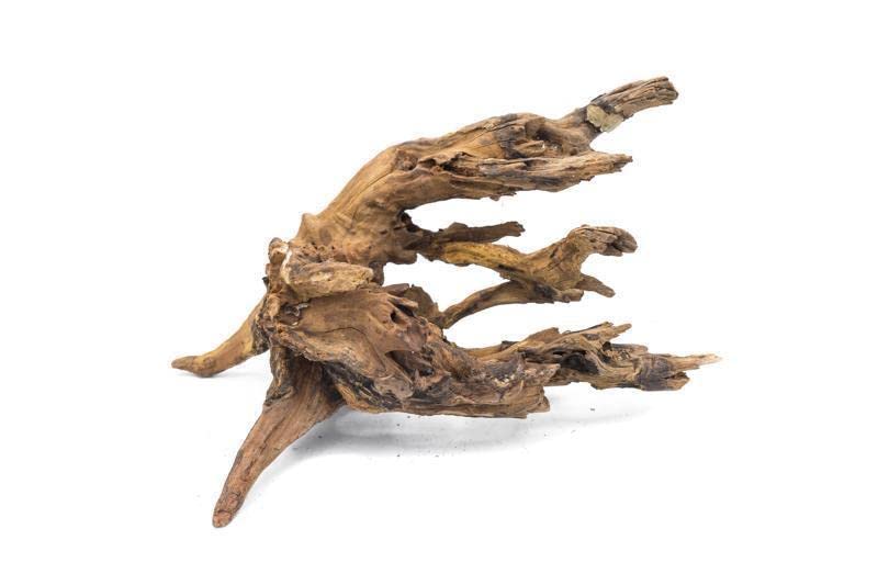 Natural Aquarium Driftwood for Fish Tanks - Small to Large Pieces (Pacific Wood Medium 8-12