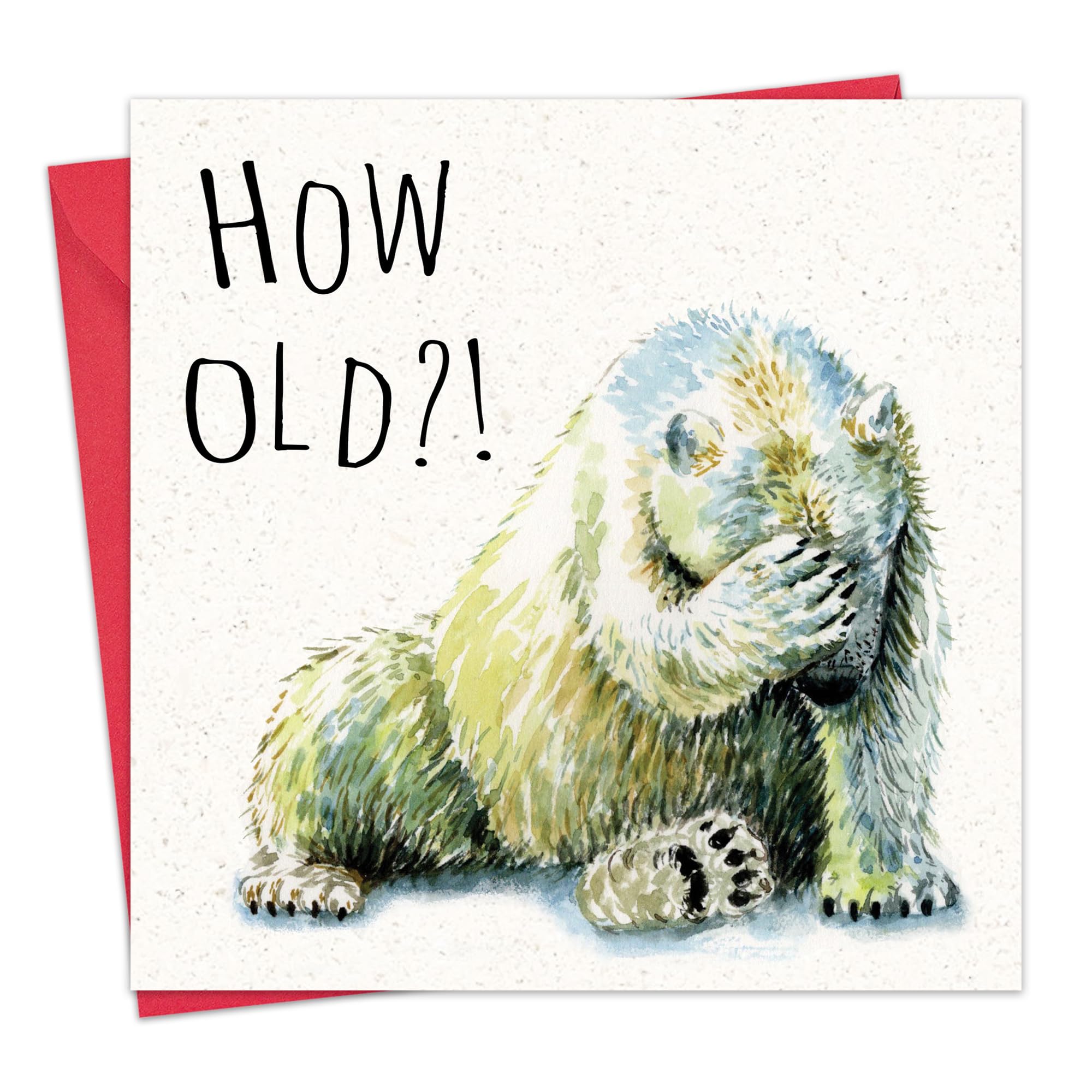 Funny Polar Bear Birthday Card for Men & Women - Hilarious Birthday Greeting Card for Him or Her - Perfect for Friends, Coworkers & Family - Great for Office Celebrations & Surprise Parties