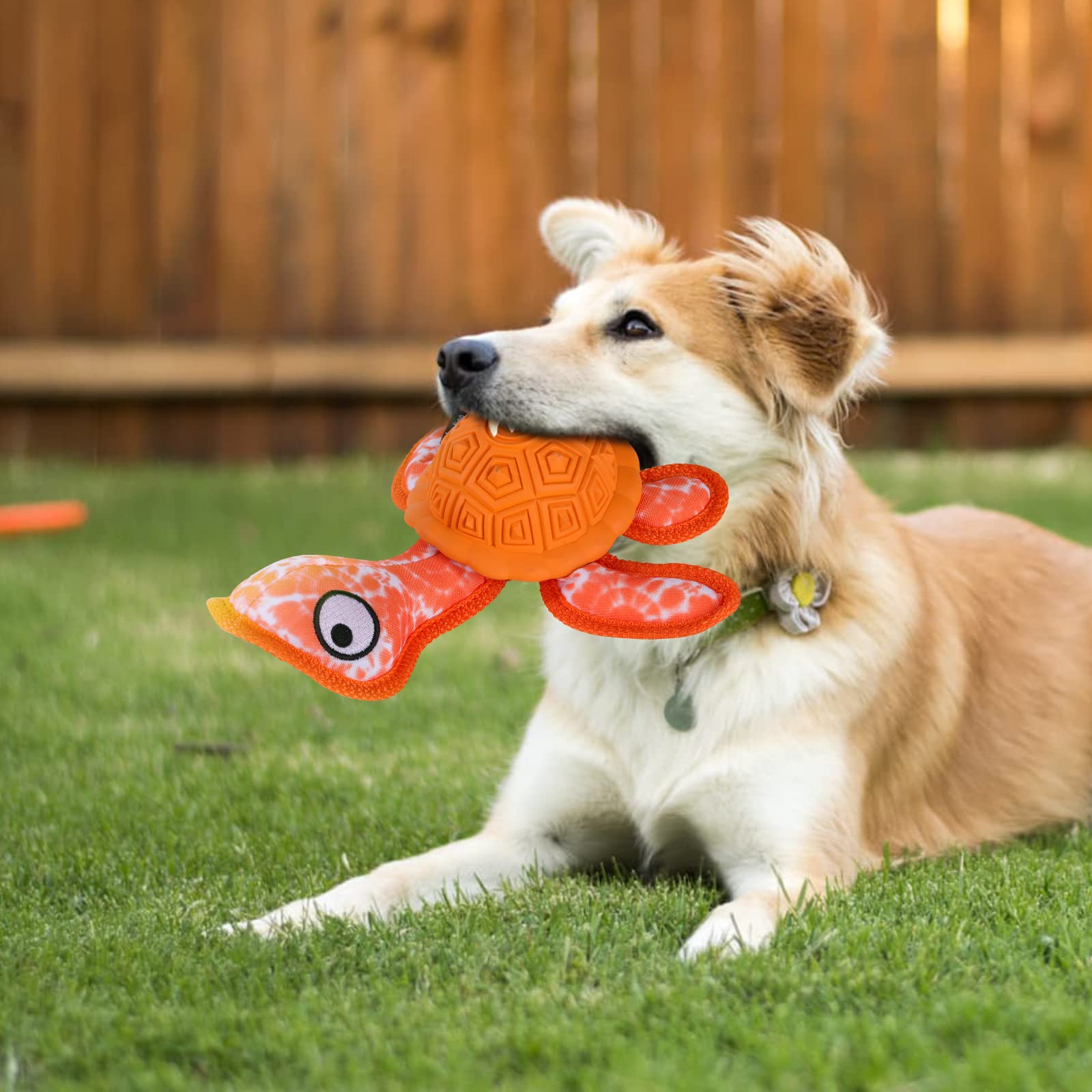 Durable Rubber Dog Chew Toys for Puppies - Turtle Shaped Teething Toy with 2 Tennis Balls (Orange) | Perfect for Aggressive Chewers, Puppy Teething Relief & Interactive Playtime