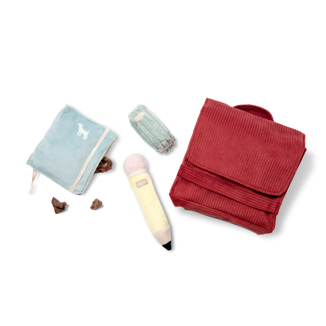 Back To School Essentials - Top Supplies for Students & Teachers | Perfect for Classrooms, Homework & Study Sessions