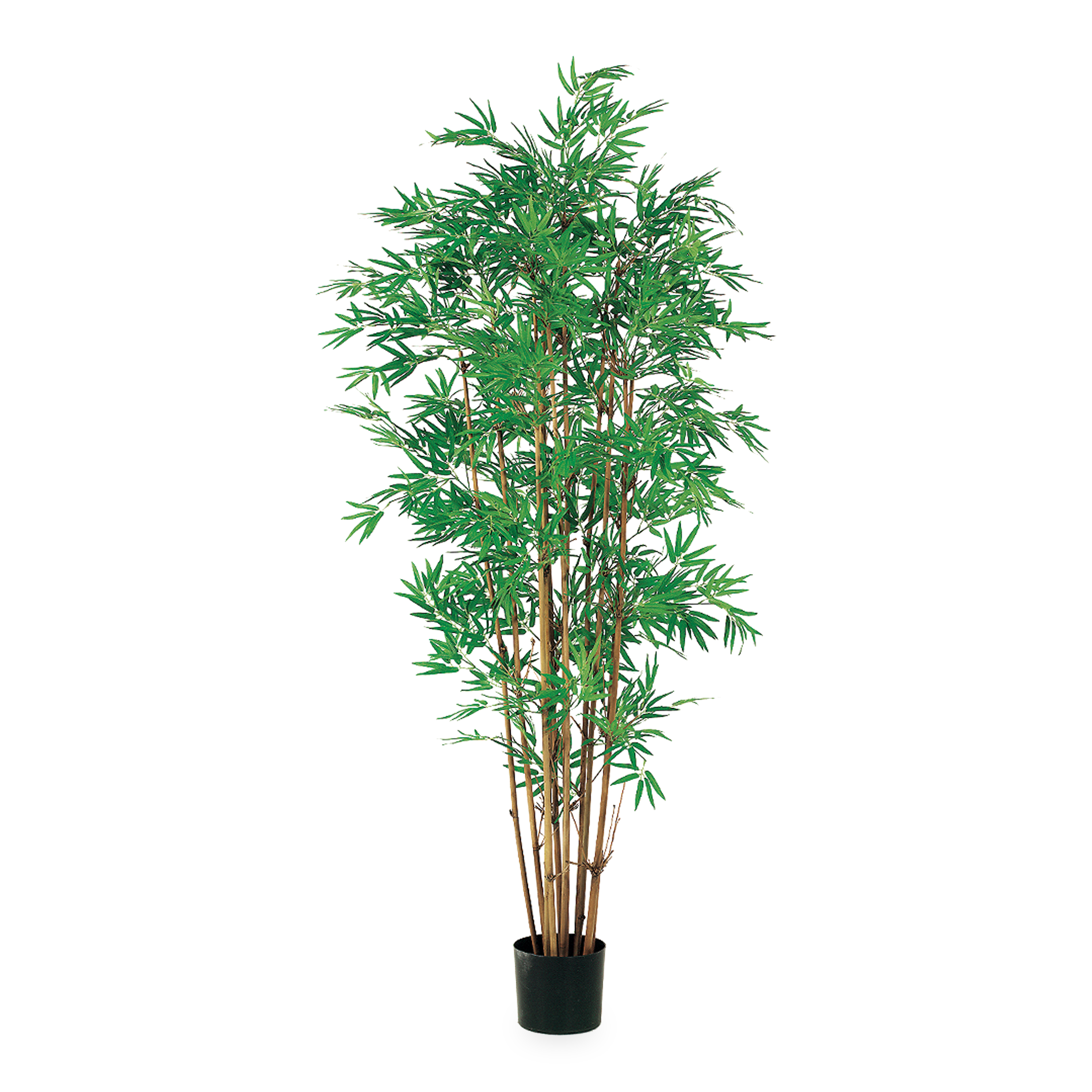 Japanese Bamboo Tree - Authentic Handcrafted Indoor/Outdoor Decor for Zen Garden, Home & Office - Perfect for Meditation Spaces & Asian-Themed Decor