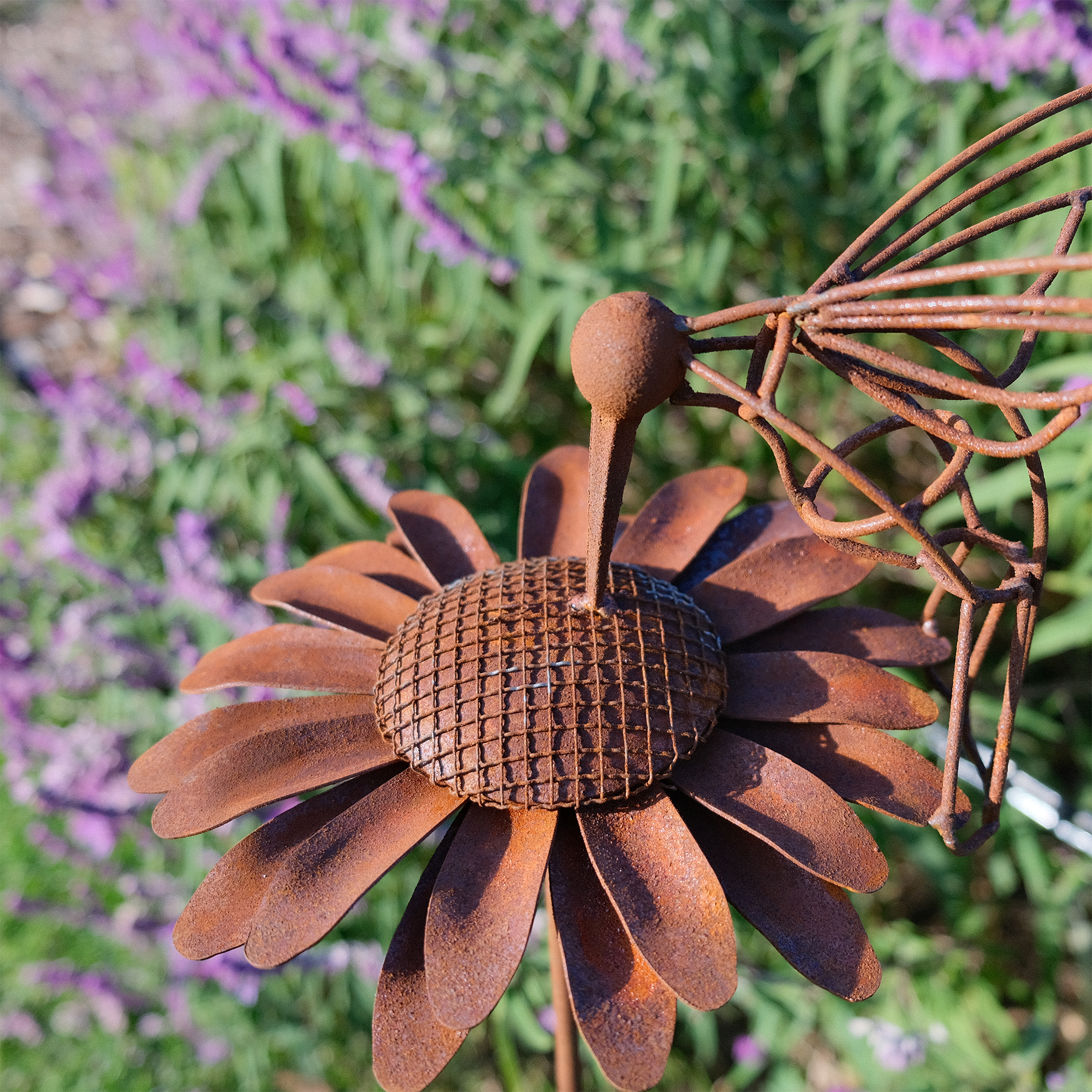 W3413 Daisy and Hummingbird Metal Garden Stake - Decorative Outdoor Flower Plant Stake for Yard, Patio, Lawn Decor - Perfect for Spring Gardening and Backyard Landscaping