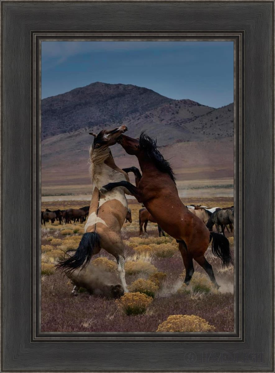 Desert Duel 1 by Greg Sargent - Western Adventure Novel for Adults | Perfect for Book Clubs, Gifts & Western Fiction Fans