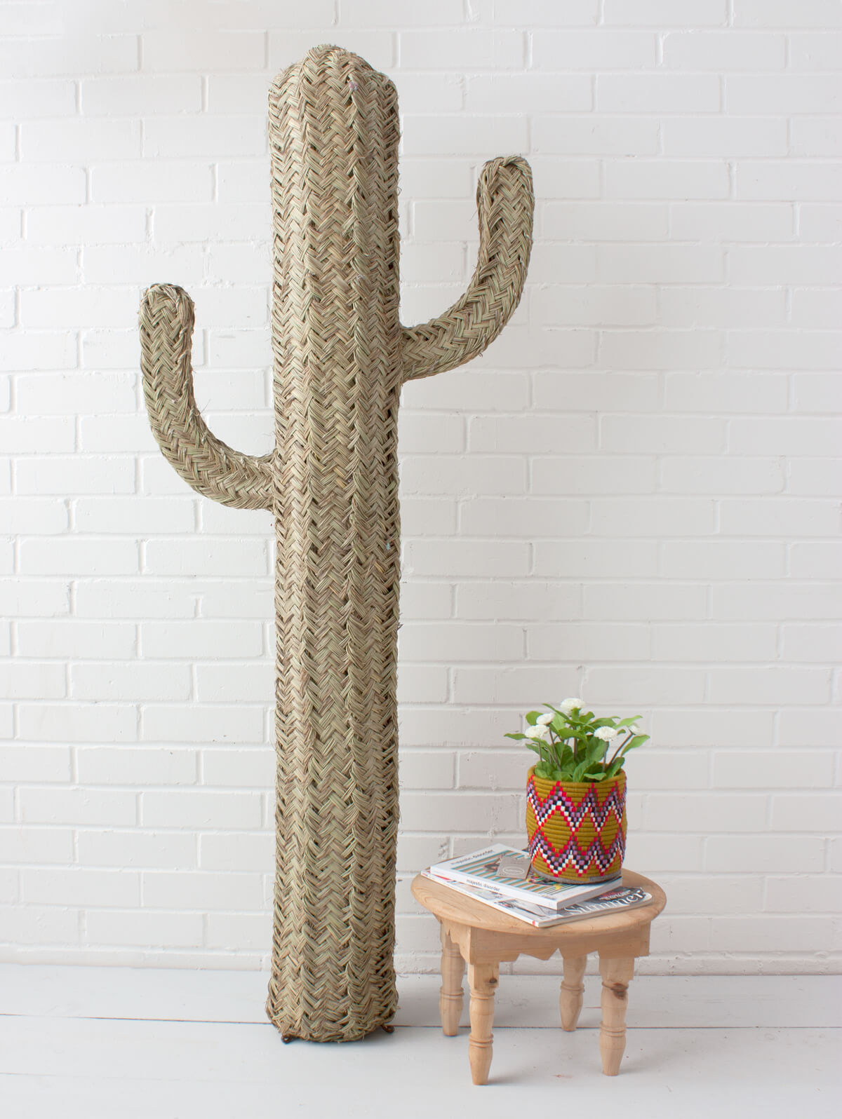 Halfah Grass Cactus - Natural Decorative Plant for Home, Office & Garden | Perfect for Indoor Succulent Arrangements & Desert Landscaping