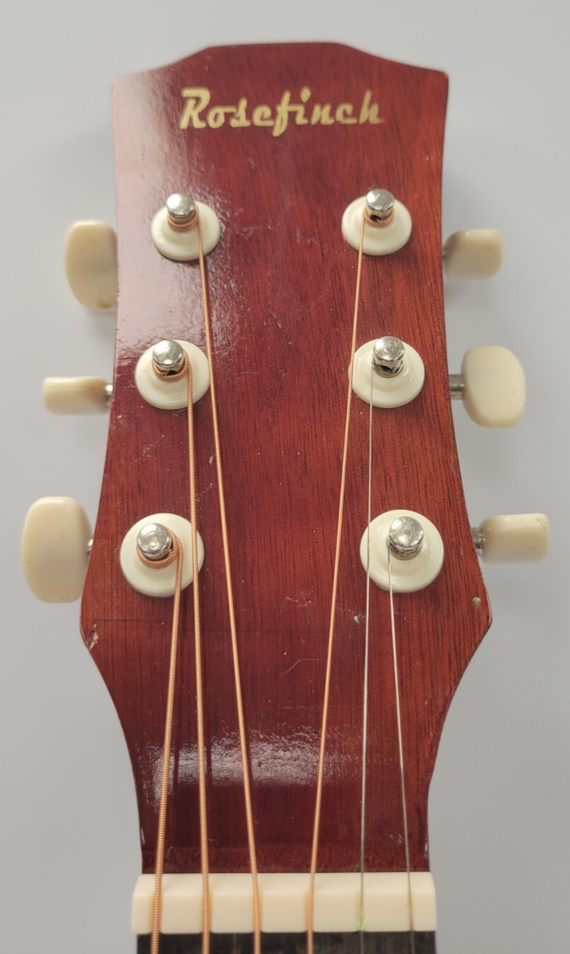AGI16 Rosefinch Guitar - Professional Acoustic Electric Guitar for Beginners & Intermediate Players - Perfect for Home Practice, Live Performances & Studio Recording