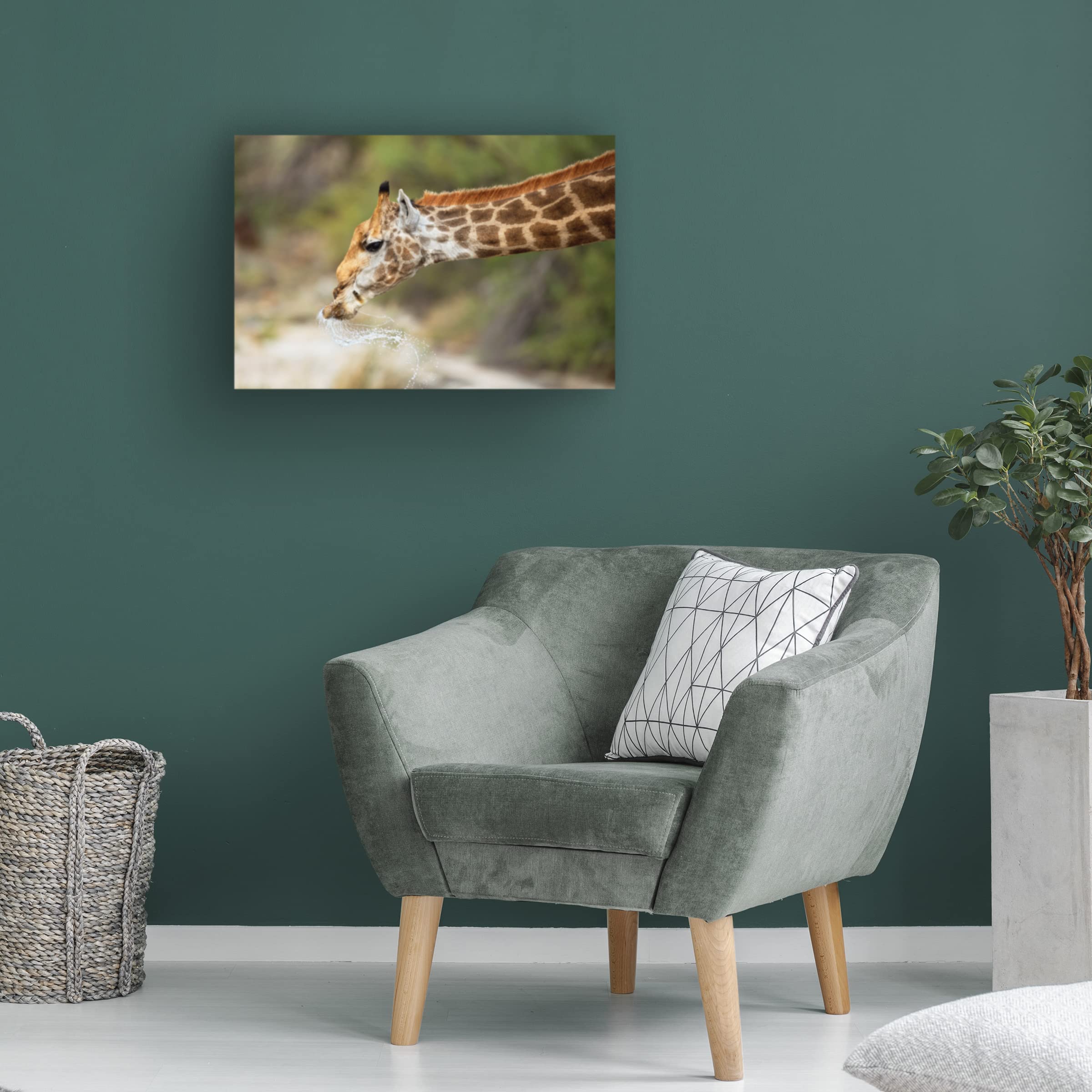 Trademark Fine Art 'Just A Drink' Canvas Wall Art by Marco Pozzi - Perfect for Living Room, Bedroom & Office Decor