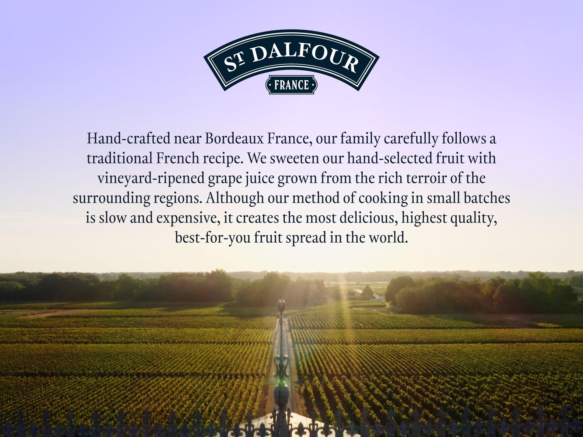 St. Dalfour Strawberry Fruit Spread - 6 Pack of 10 oz Jars | 100% Natural Fruit, No Added Sugar, No Corn Syrup | Perfect for Toast, Yogurt & Baking | Healthy Jam Alternative