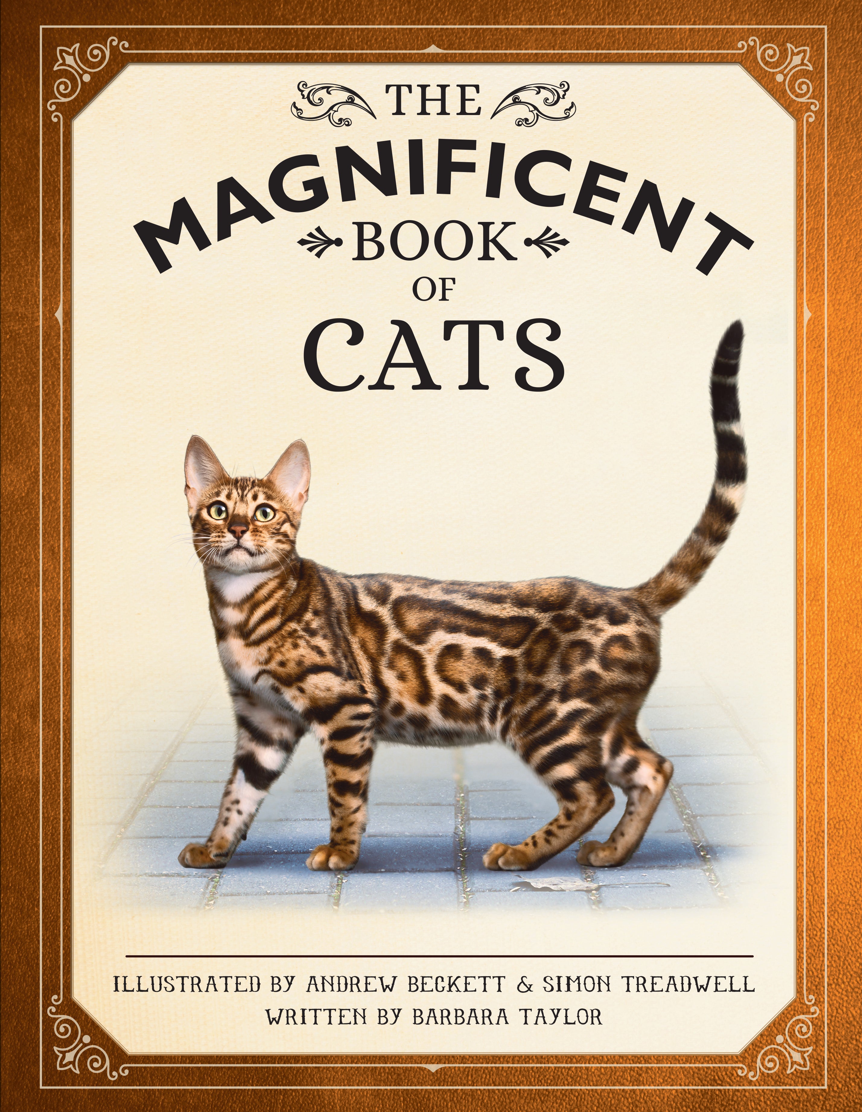 The Magnificent Book of Cats - Feline Encyclopedia with Stunning Illustrations | Perfect Gift for Cat Lovers & Home Decor | Great for Reading, Gifting & Coffee Table Display