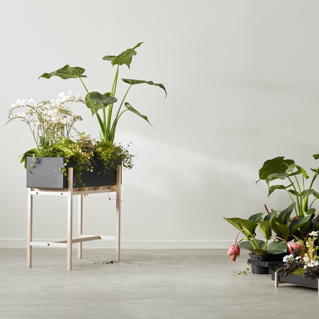 Botanic Standing Pot - Modern Decorative Plant Holder for Home & Office - Indoor & Outdoor Use for Succulents, Flowers & Herbs