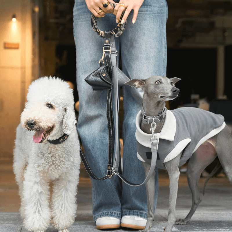 Premium Obsidian Black Genuine Leather Dog Collar - Adjustable & Durable for Small to Large Breeds - Perfect for Training, Walks & Everyday Use