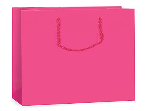 10 Pack Hot Pink Matte Gift Bags 13x5x10 Inches with Cardboard Bottom & Matching Cord Handles - Perfect for Birthday Parties, Baby Showers & Holiday Gift Wrapping