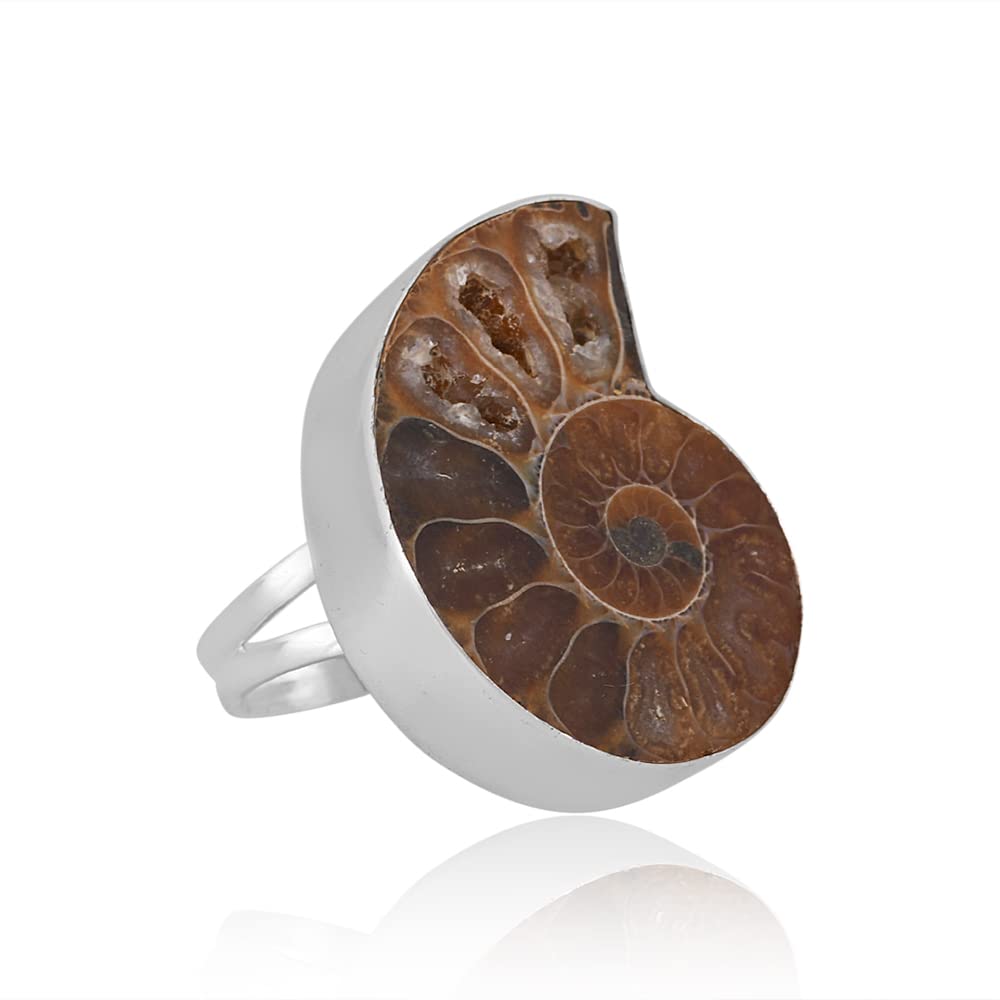 PANOPLY Ammonite Solid 925 Sterling Silver Ring for Women - Elegant Jewelry Gift for Mom, Wife, Girlfriend - Perfect for Birthday, Anniversary, Wedding & Christmas - Size 9.5 - Ideal for Everyday Wear & Special Occasions