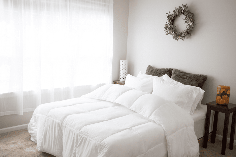 Pillowtex Essential Bedding Set - All Season Comforter with Matching Pillowcases | Soft & Breathable for Year-Round Comfort | Perfect for Master Bedroom, Guest Room & Dormitory