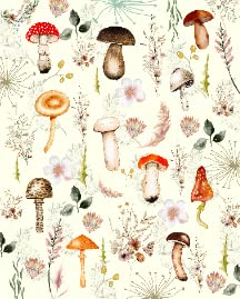 Mushroom2