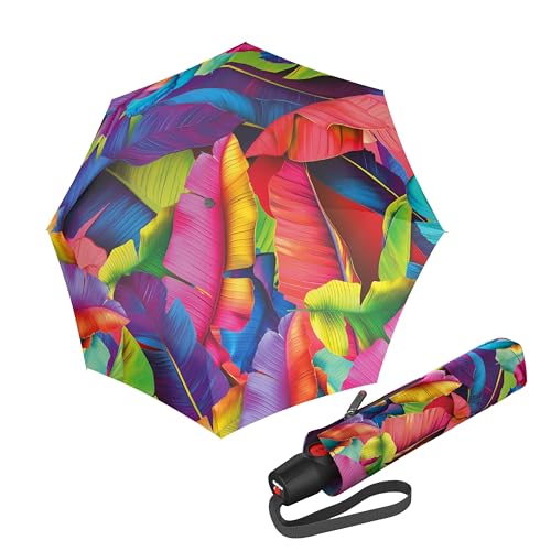 Palm Multicolore