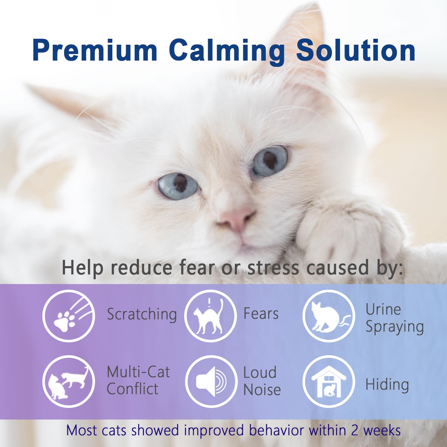 Cat Pheromone Calming Diffuser for Cats - 2 in 1 Starter Kit with Diffuser Head & 48mL Refill - Reduce Anxiety & Stress in Cats - Perfect for Multi-Cat Homes, Vet Visits & Traveling