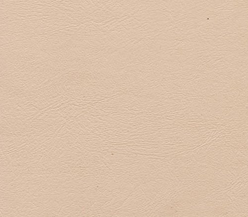 Light Neutral