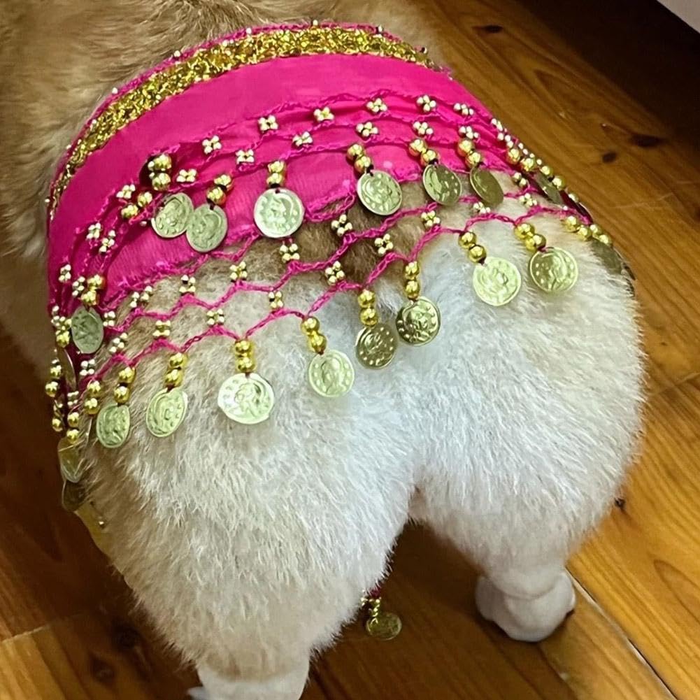 Corgi Dog Costume - Belly Dancer Skirt with Sequin Waist Chain & Butt Curtain, Passionate Puppy Hip Scarf for Shaking Dance, Perfect for Halloween, Parties, and Pet Performances