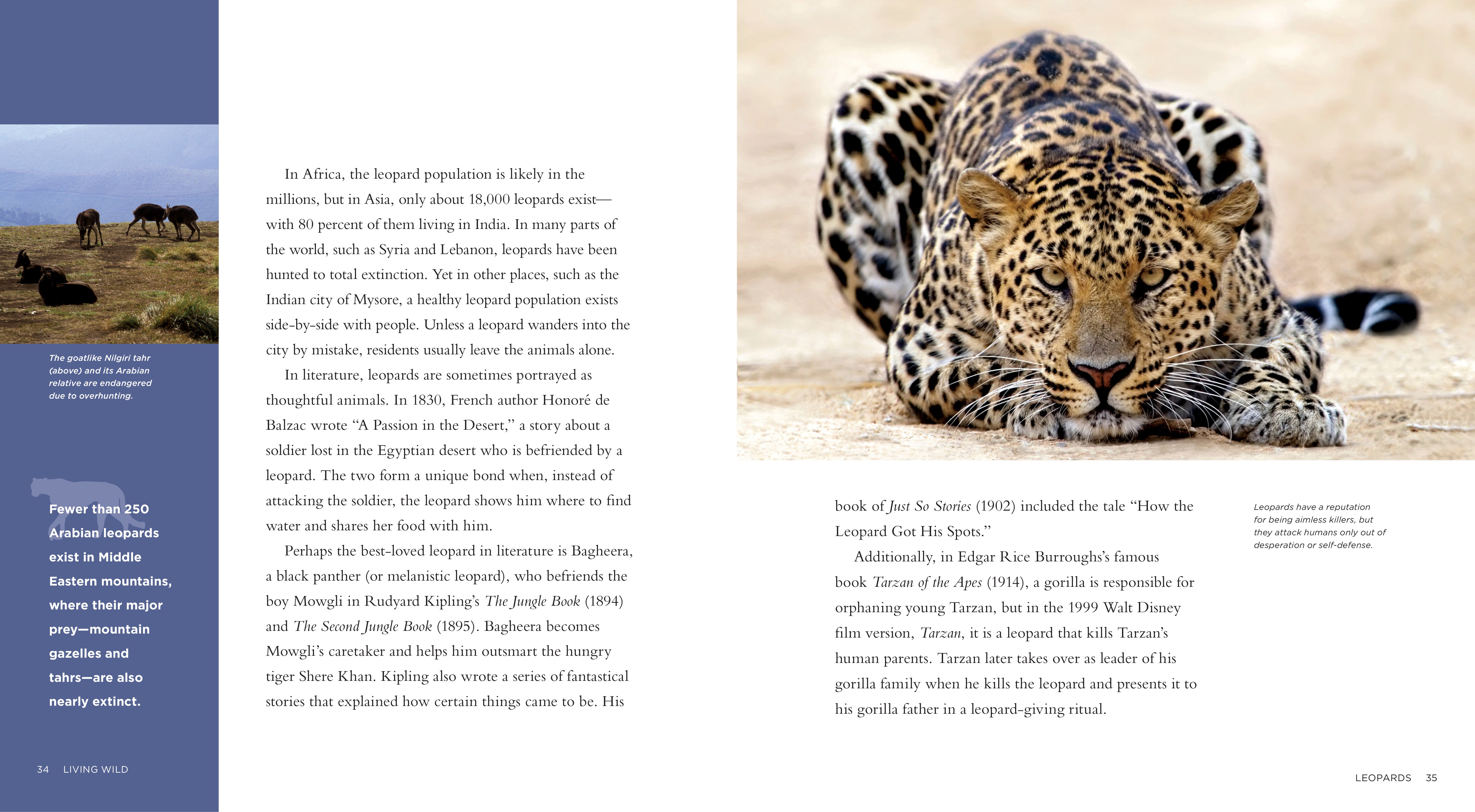 Leopards Book ISBN 978-1-58341-972-4 - Wildlife Education & Nature Exploration for Kids & Adults
