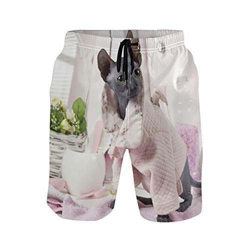 Sphynx Cat Beach