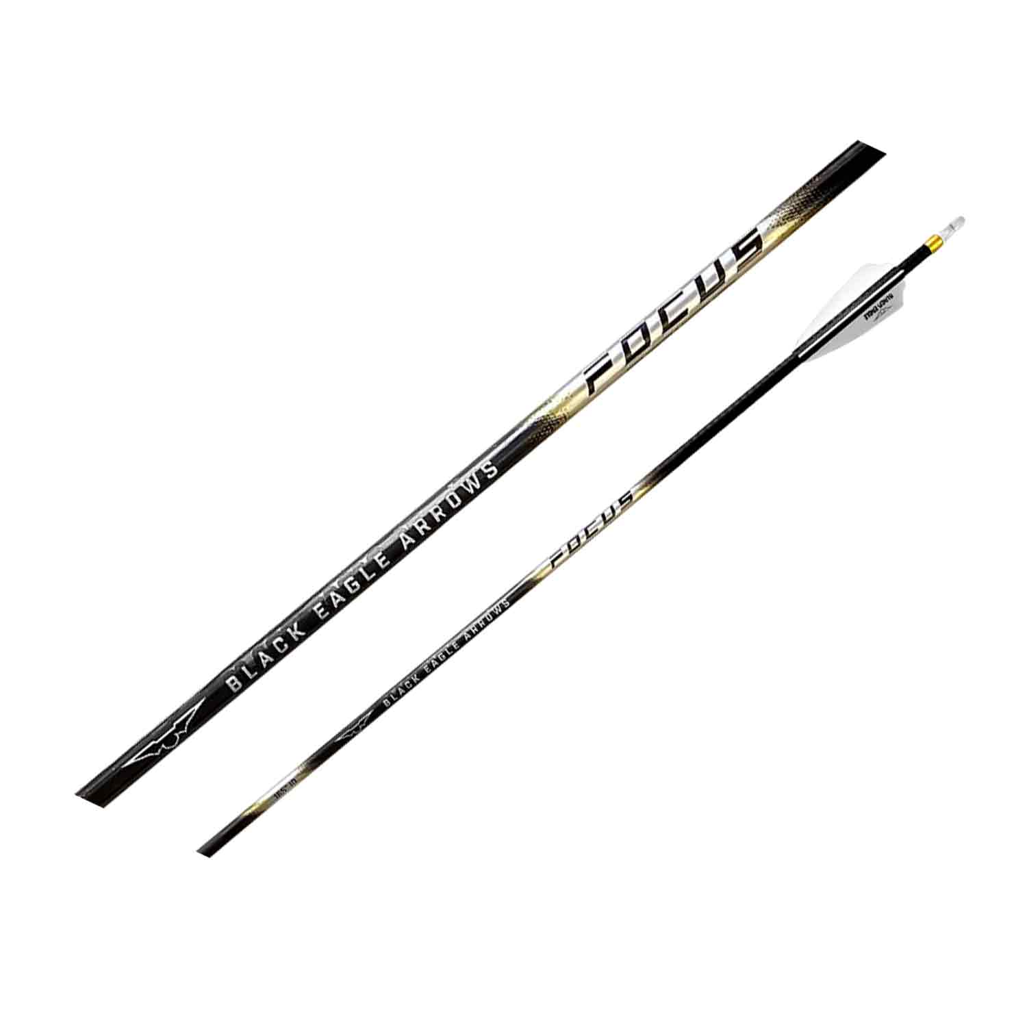 Black Eagle FOCUS V1 Fletched .165 Carbon Arrows - High Performance Hunting Arrows for Target Practice & Bowfishing | Perfect for Outdoor Sports & Archery Competitions