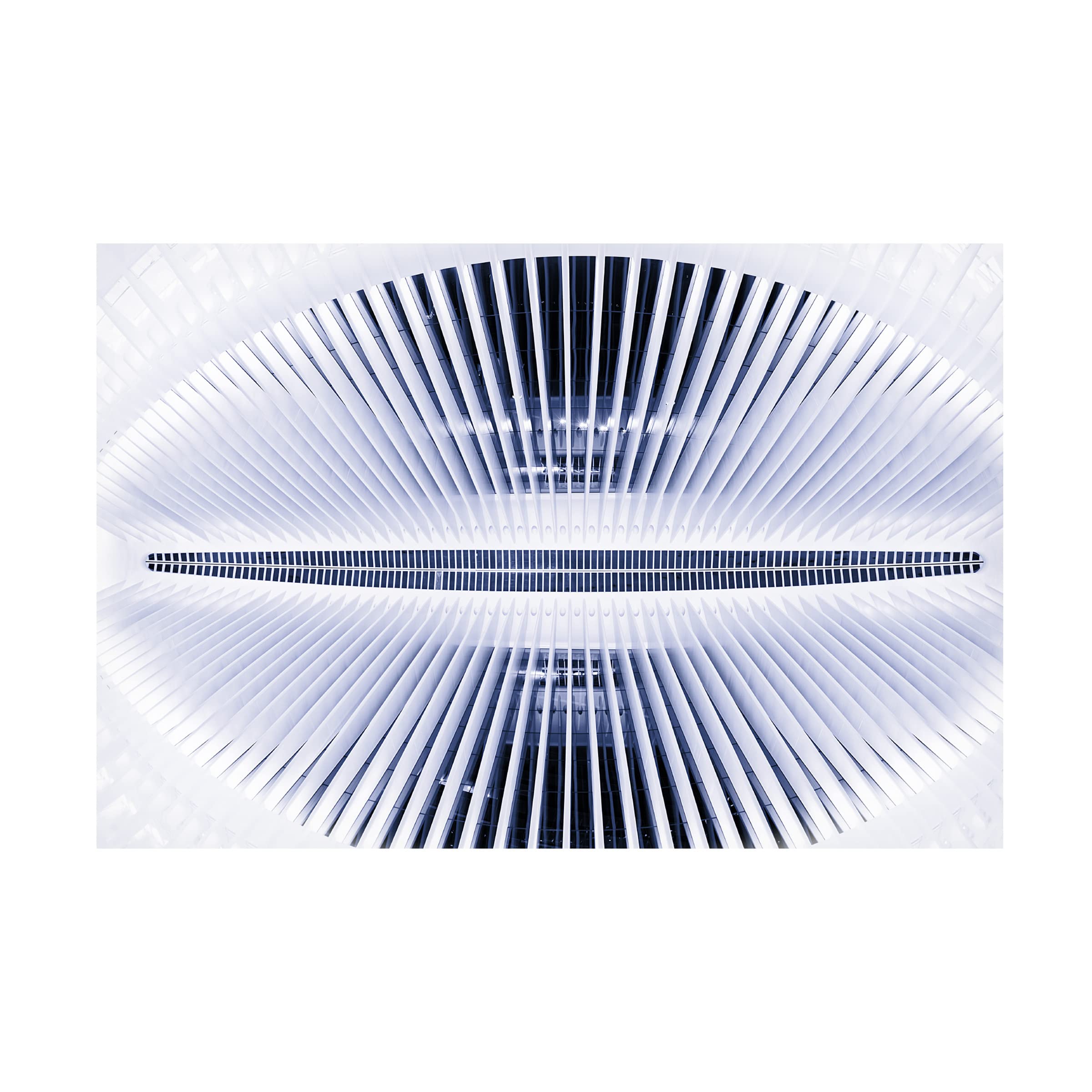 Trademark Fine Art 'Oculus' Canvas Wall Art by Martin Fleckenstein - Modern Abstract Painting for Living Room, Bedroom & Office Decor
