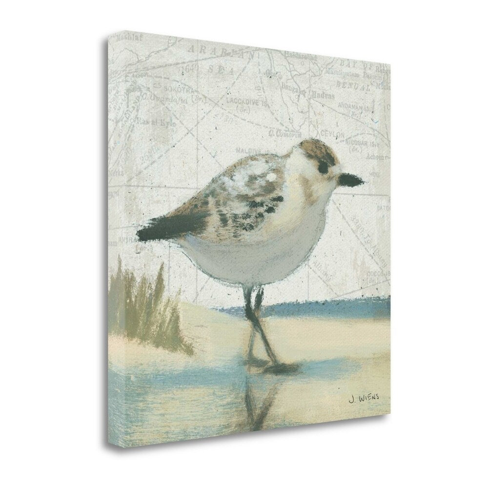 Beach Bird I By James Wiens - Premium Giclee Art Print on Gallery Wrapped Canvas - Ready to Hang Wall Decor - Perfect for Living Room, Bedroom or Office