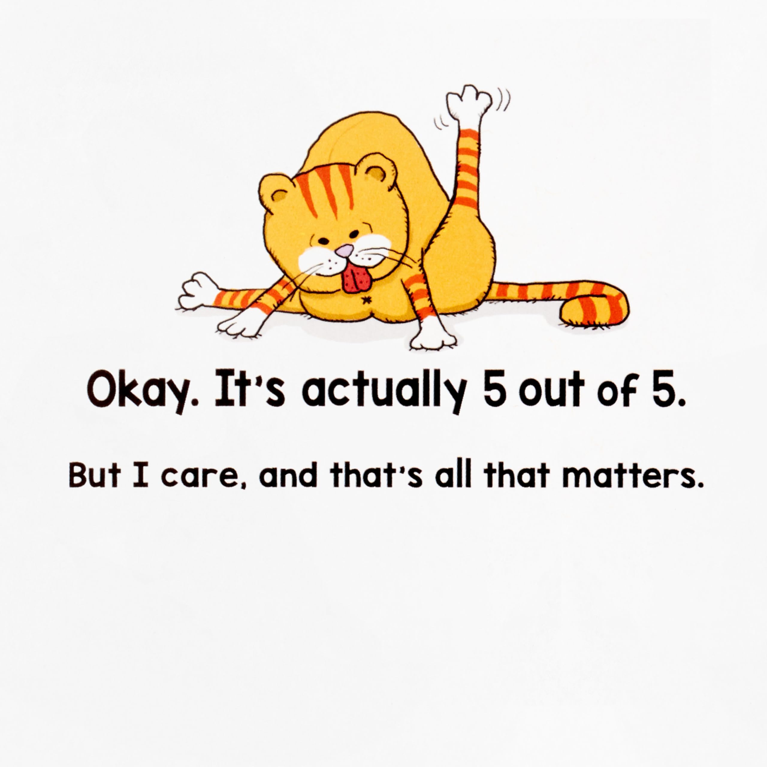 Hallmark Shoebox Funny Birthday Card - Cats Don't Care Humorous Cat Lover Greeting Card | Perfect for Cat Owners, Animal Lovers & Birthday Gifts