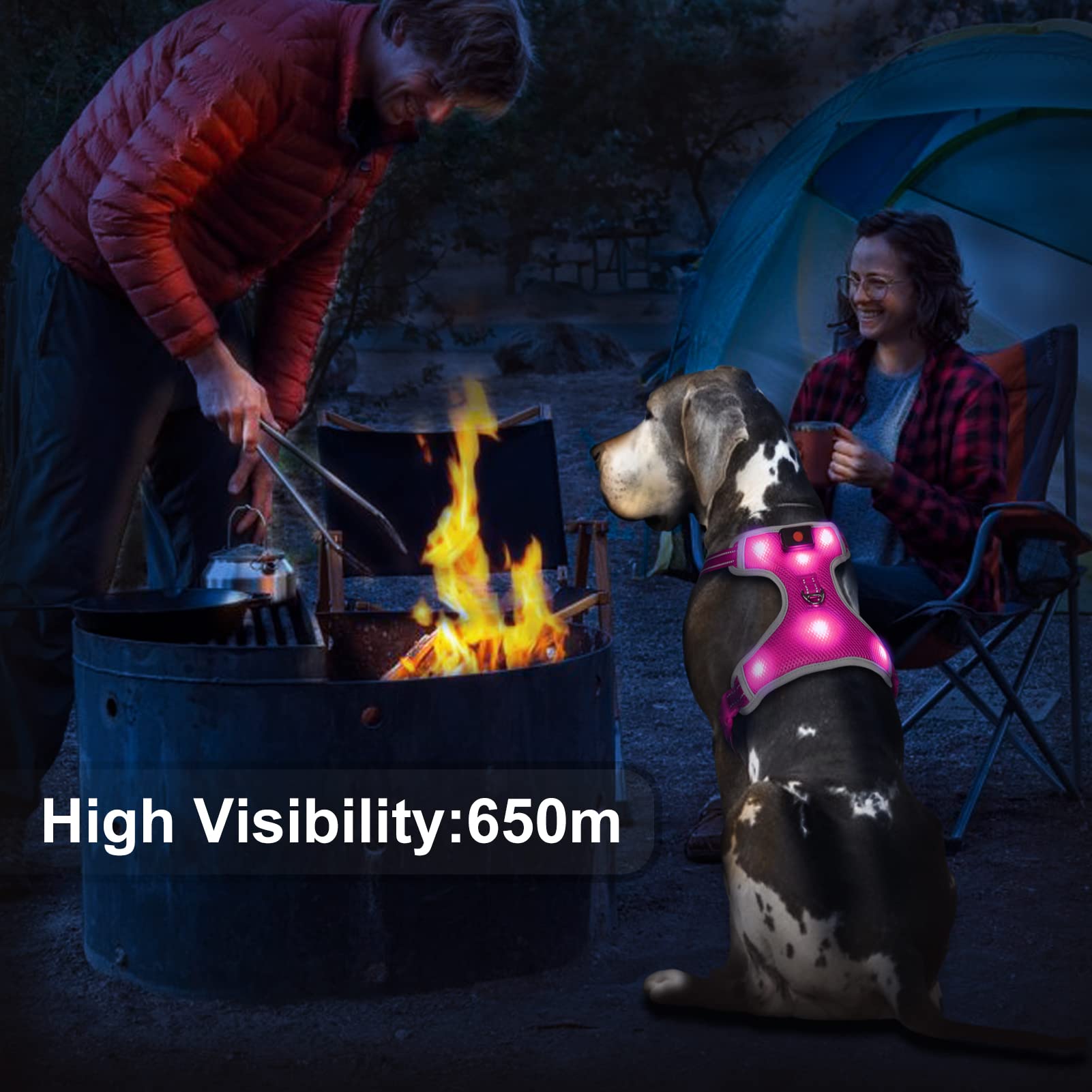 LED Dog Harness with Rechargeable Lights - Reflective Adjustable Puppy Vest for Small Dogs, Night Walking Safety Gear with Light Up Collar (Pink, Small) - Perfect for Evening Walks, Jogging & Outdoor Adventures