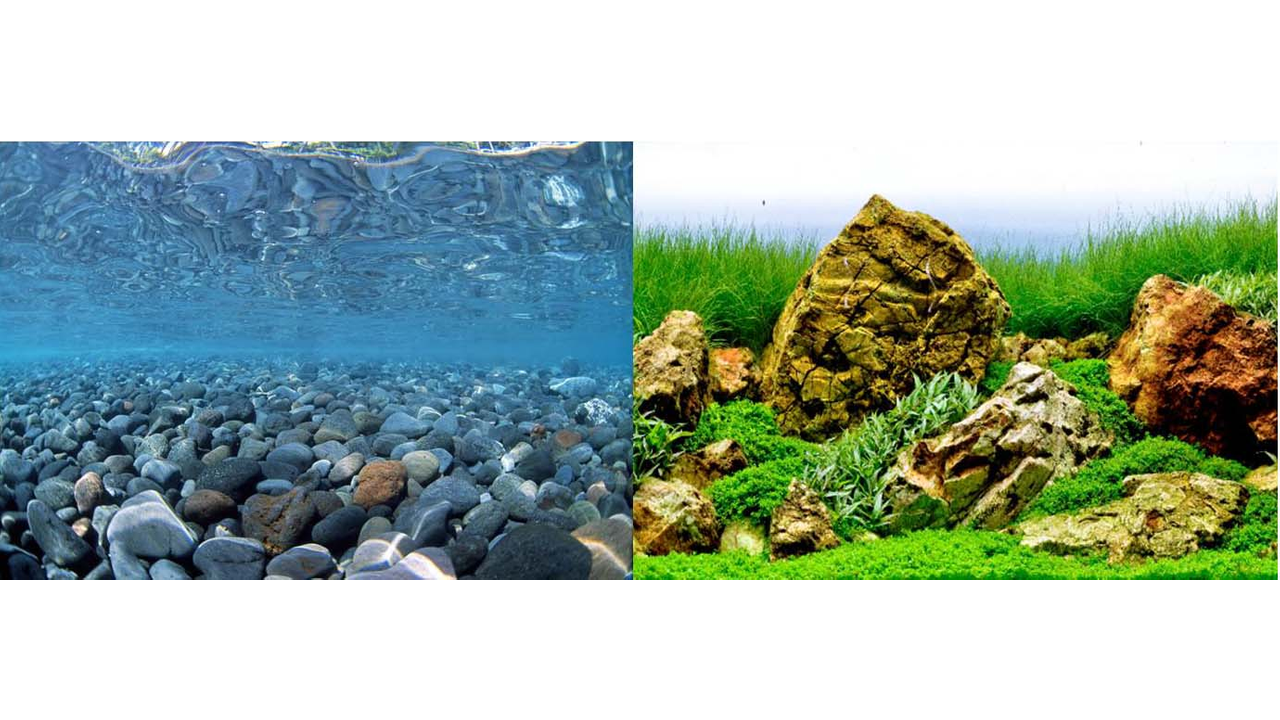 Brooklands Background River Rock & Sea of Green 45cm Artificial Plant Wall Panel (Per Meter) - Perfect for Home Decor, Office Spaces, and Indoor Vertical Gardens