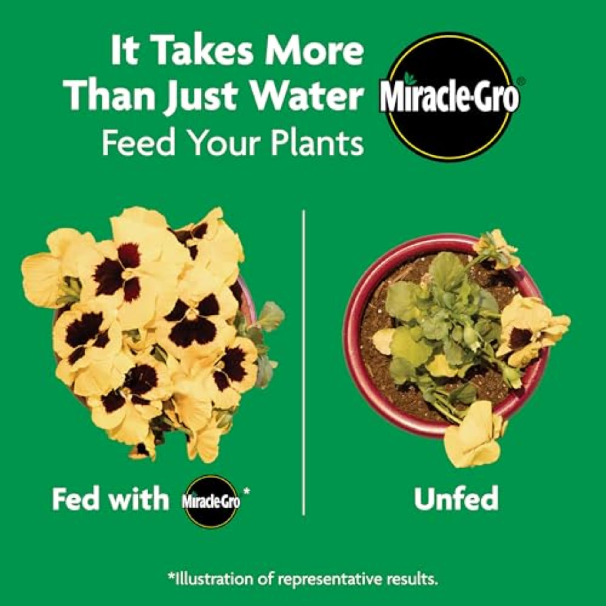 Miracle-Gro Shake 'N Feed Rose & Bloom Plant Food - All Purpose Flower Fertilizer for Roses, Flowers & Shrubs - Perfect for Garden Beds, Potted Plants & Outdoor Landscaping
