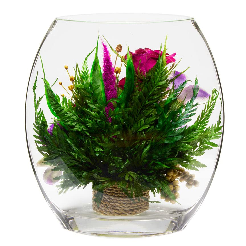 Luxury Preserved Orchid Arrangement in Glass Vase - Long Lasting Silk Flowers for Anniversary, Wedding, Corporate Gifts - Perfect for Home Decor, Office Centerpiece & Special Occasions