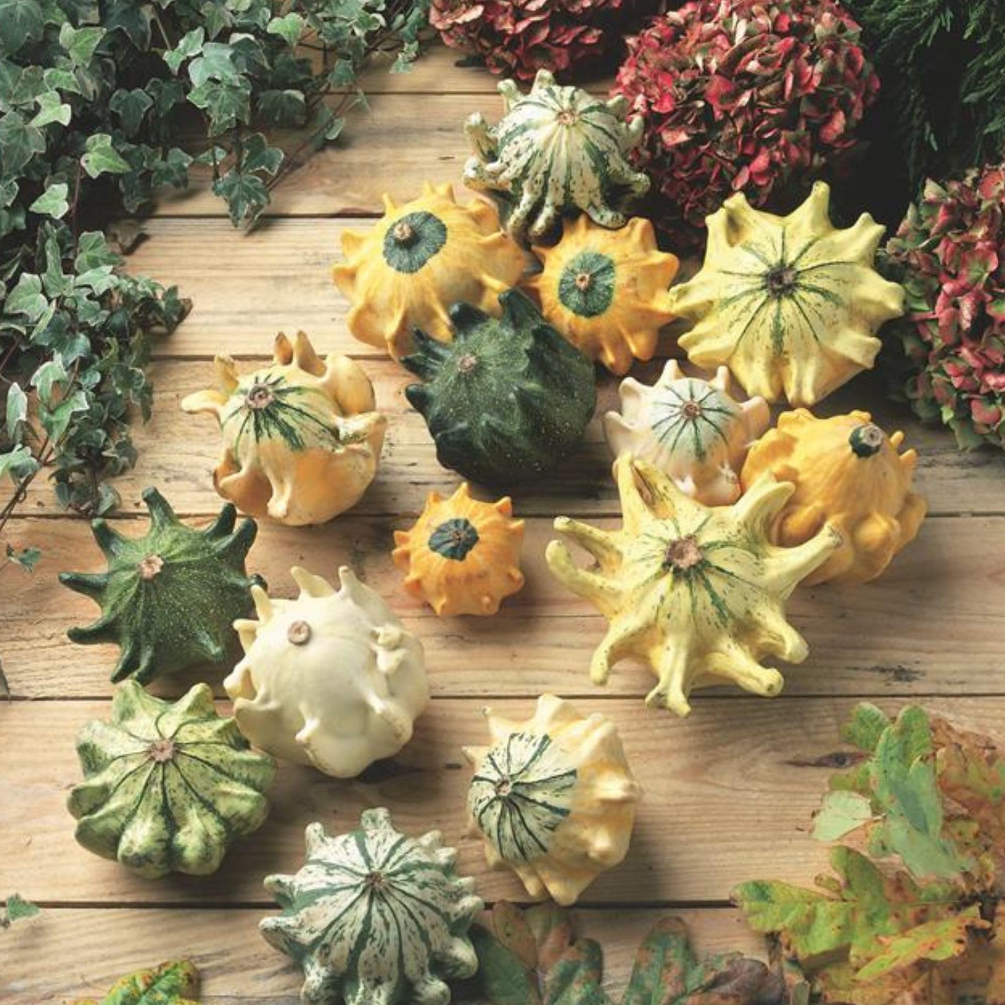 Crown of Thorns Gourd Seeds - 1 Oz (~850 Seeds) | Non-GMO, Open Pollinated Vegetable Seeds for Home Garden | Perfect for Organic Gardening, Backyard Planting & DIY Landscaping Projects