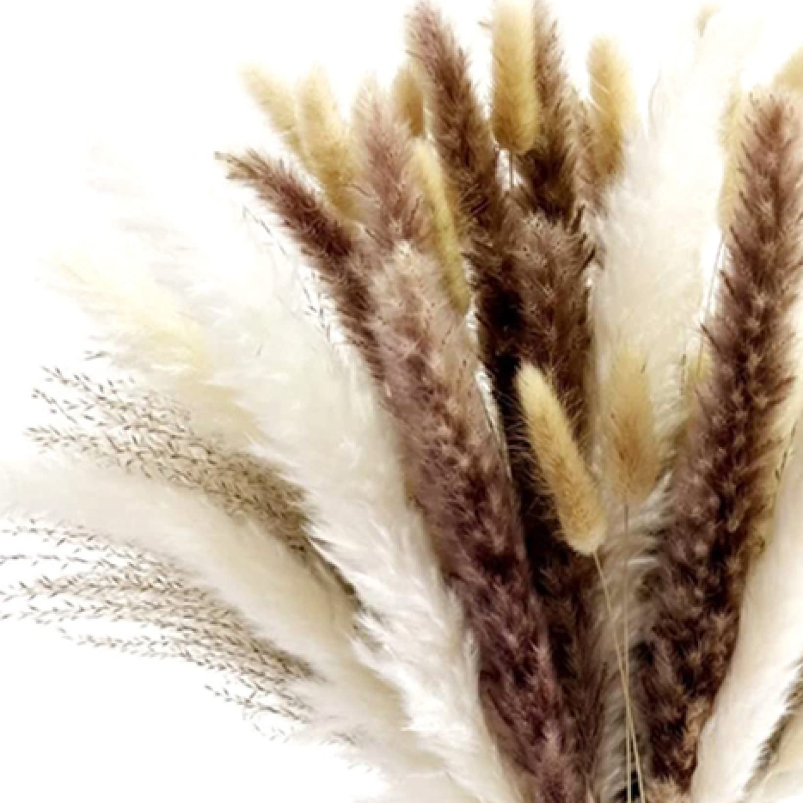 65 Pcs Natural Dried Pampas Grass Bouquet - Boho Wedding Decor, Home Vase Filler, Table Centerpiece for Kitchen, Yard & Indoor Boho Decorations | Perfect for Wedding, Party & Home Styling