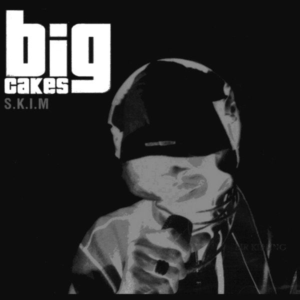 Big Cakes - S.K.I.M (CD) Music Album STINC003 | Electronic Dance Music for Parties & DJ Sets
