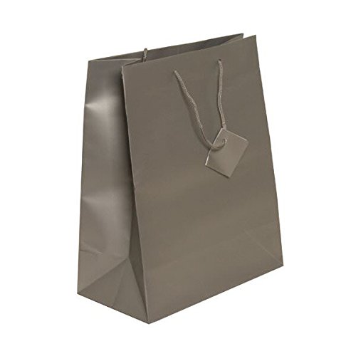 Premium Silver Matte Gift Bags with Rope Handles - 10