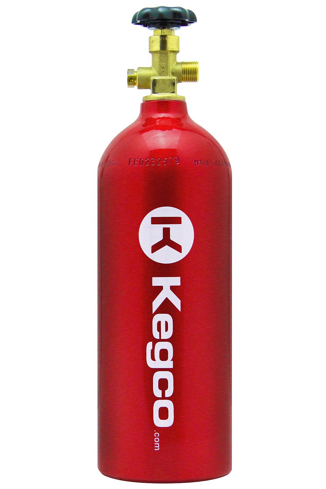 Kegco EBLPSCK-5T Stainless Steel Homebrew Keg Conversion Kit - Perfect for Draft Beer Dispensing & DIY Kegerator Setup