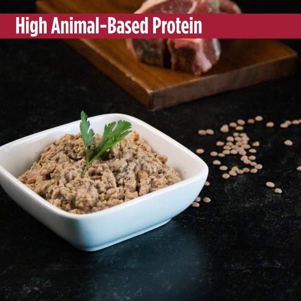 Nulo Freestyle Grain-Free Beef & Lamb Recipe Canned Cat Food – 5.5oz – High-Protein Wet Cat Food for Adult & Senior Cats – Perfect for Picky Eaters & Sensitive Stomachs