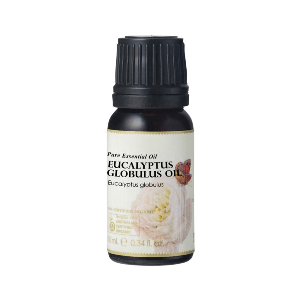 Ausganica 100% Certified Organic Eucalyptus Globulus Essential Oil - 10ml Pure Therapeutic Grade Aromatherapy Oil for Diffuser, Massage & Relaxation