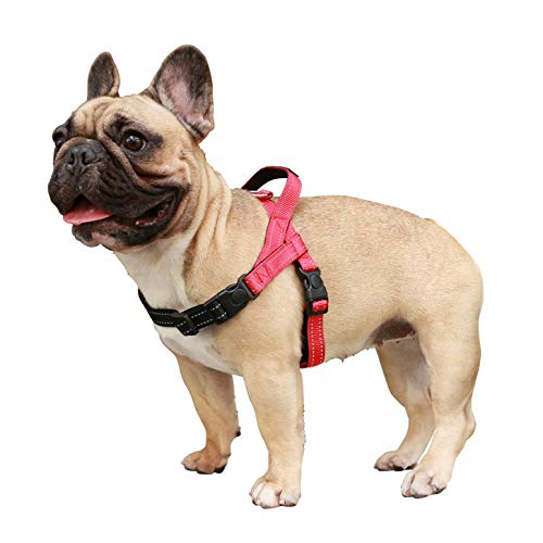 Red Harness